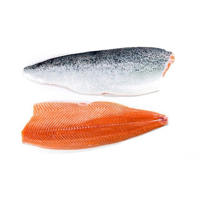 salmon-file